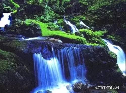 寻找丢失的钱包