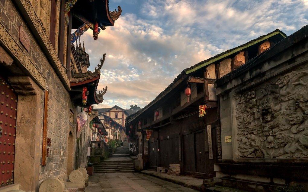 忍者鲨鱼